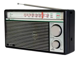 odbiornik-radiowy-radio-fm-sieciowe-przenosne-bateryjne-pasek-do-noszenia