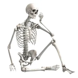 szkielet-czlowieka-model-kosciotrup-szkieletor-dekoracja-90cm-halloween-xxl
