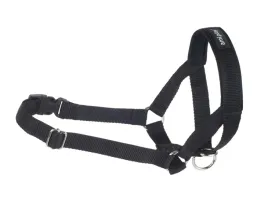 amiplay-halter-basic-l-czarny