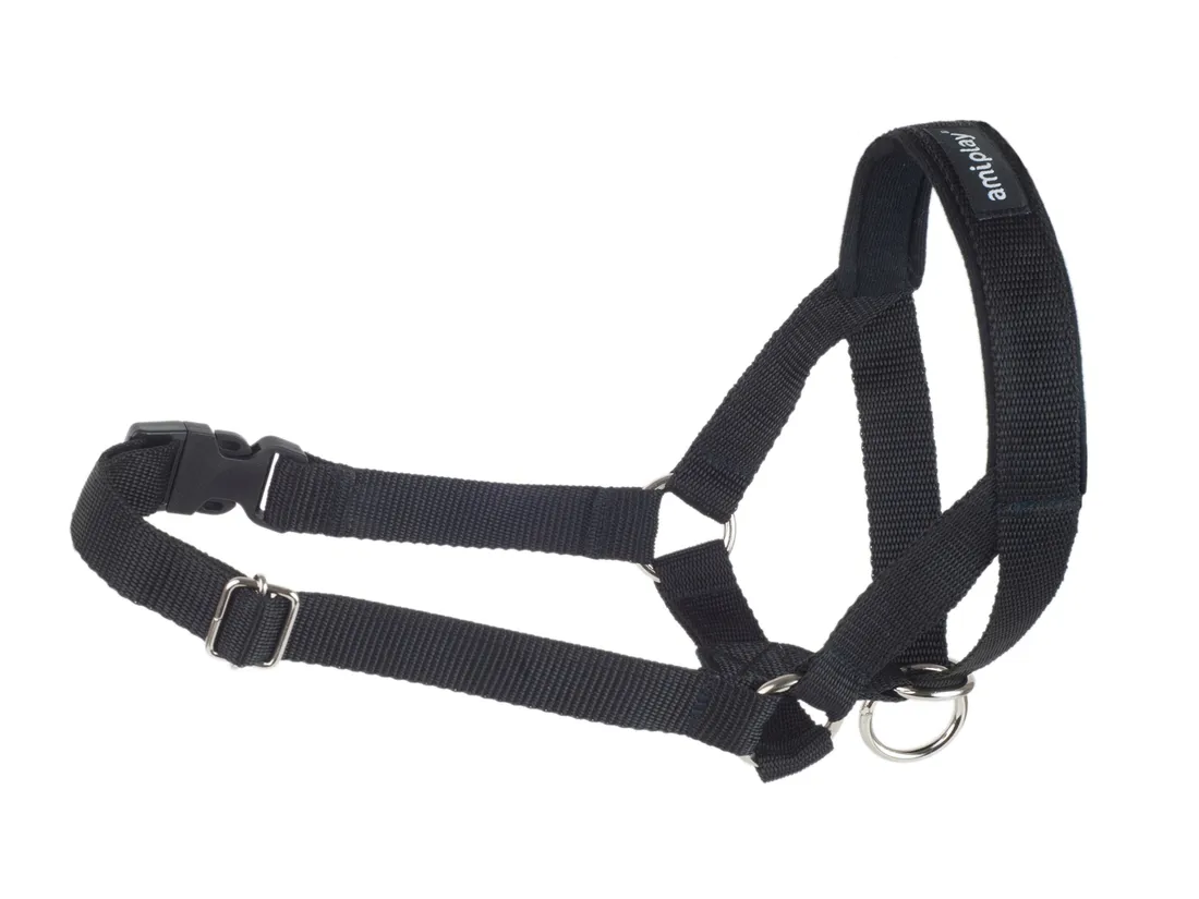 amiplay-halter-basic-l-czarny