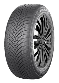 2x-opony-zimowe-205-55-r16-roadx-frost-91h-55r16