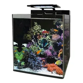 blue-marine-reef-90-90l-zestaw-akwarium-morskie