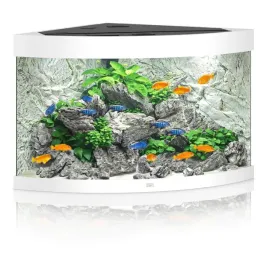 juwel-trigon-190-led-biale-akwarium-zestaw