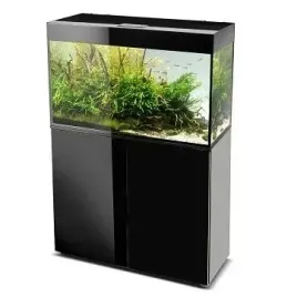aquael-glossy-st-100-dandn-akwarium-czarny-led-szafka