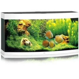 juwel-vision-260-helialux-spectrum-bialy-akwarium