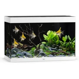 juwel-rio-290-led-zestaw-bialy