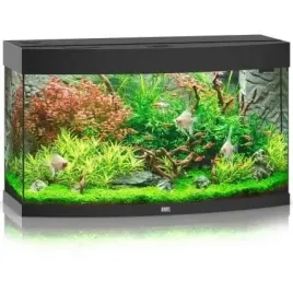 juwel-vision-180-helialux-spectrum-akwarium-czarny