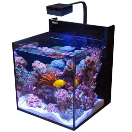 red-sea-max-nano-reef-system-75l-akwarium