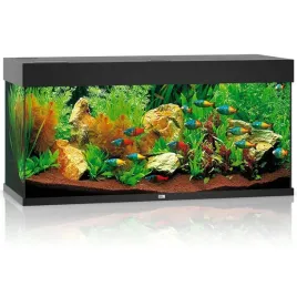 juwel-rio-180-2xled-akwarium-zestaw-czarny-wyposazenie