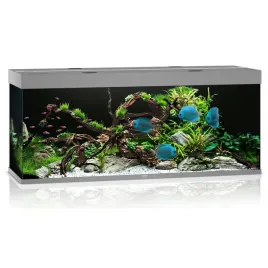 juwel-rio-450-2xled-akwarium-zestaw-szary