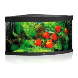 juwel-trigon-350-led-czarny-akwarium-zestaw