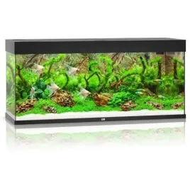 juwel-rio-240-2xled-akwarium-zestaw-czarny