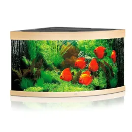 juwel-trigon-350-led-jasne-drewno-akwarium-zestaw