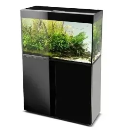aquael-glossy-st-80-dandn-akwarium-czarny-led-szafka