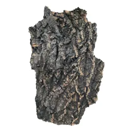 progrow-cork-bark-40-50cm-1kg-kora-korkowa