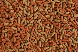 pokarm-dla-zolwia-wodnego-turtle-mix-w-glopex-200g
