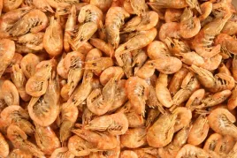 krewetki-suszone-shrimps-glopex-dla-zolwia-100g-krewetka-suszona