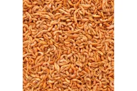 kielz-syberyjski-suszony-glopex-karma-dla-zolwia-200g