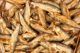 stinte-stynka-suszona-rybka-naturalna-karma-glopex-5kg