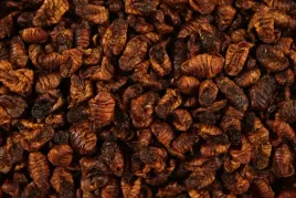 suszone-larwy-jedwabnika-glopex-jedwabnik-100g