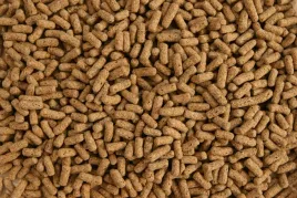 pokarm-dla-zolwia-ladowego-turtle-mix-l-glopex-500g