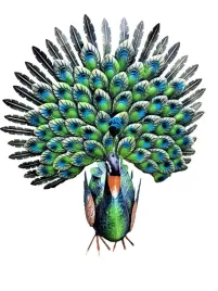 dekoracyjny-ptak-paw-do-ogrodu-ozdoba-ogrodowa-duzy-ozdobny-ogon-65cm-metal