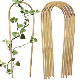 luk-bambusowy-do-roslin-podpora-45-cm-25-szt-bambus-giety-tyczka