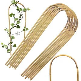 luk-bambusowy-do-roslin-podpora-45-cm-25-szt-bambus-giety-tyczka