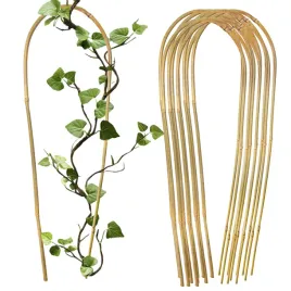 luk-bambusowy-do-roslin-podpora-60-cm-25-szt-bambus-giety-tyczka