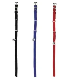 obroza-dla-kota-nylonowa-30-cm-x-10-mm-niebieska-kerbl