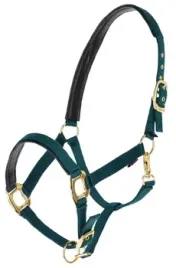 kantar-dla-konia-topline-zielony-roz-full-covalliero