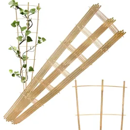 drabinka-bambusowa-potrojna-150cm-podpora-do-roslin-pergola-50-szt-zestaw