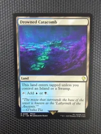 karta-magic-the-gathering-drowned-catacomb-fic-388