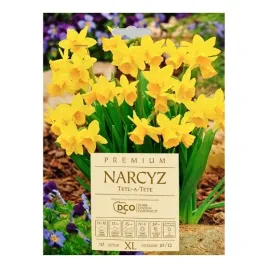 narcyz-karlowy-tete-a-tete-dco-10-szt-cebulek-zolty-kapers