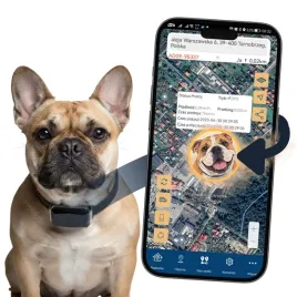 lokalizator-gps-psa-kota-obroza-serwer-polska-app