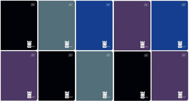 10x zeszyt A5 96 kartek w kratkę one color INTERDRUK