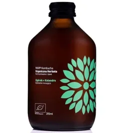 vigo-kombucha-ogorek-kolendra-bio-330ml