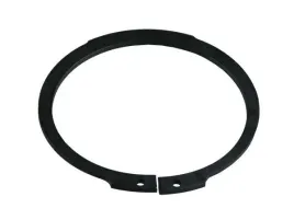 pierscien-segera-zewnetrzny-z100