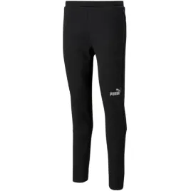 nd05-s10663-s-657386-03-spodnie-meskie-puma-teamf