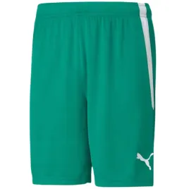 nd05-s11075-s-704924-05-spodenki-meskie-puma-team