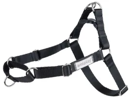 amiplay-or-samba-or-szelki-regulowane-easy-go-l-55-75-x-25cm-czarne