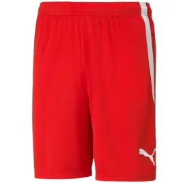 nd05-s11876-xl-704924-01-spodenki-meskie-puma-tea