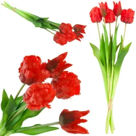 cv13899-8-tulipany-tulipan-papuzie-bukiet-gumowane-5szt-real