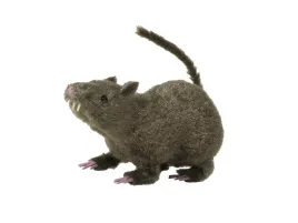 dekoracja-szczur-21-cm-1-szt