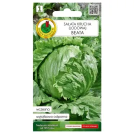 salata-glowiasta-nasiona-3g-krucha-wczesna-odmiana-beata-pnos-4050x3040cm