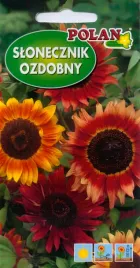 slonecznik-ozdobny-czerwony-z-zoltym-nasiona-5g