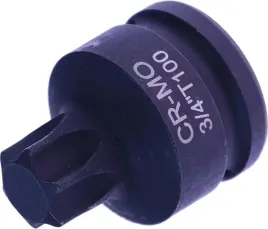 nasadka-udarowa-3-4-torx-t100-x-60-mm