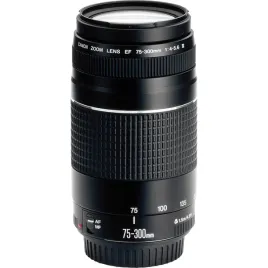 canon-ef-dc-40-56-75-300-iii
