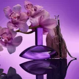 calvin-klein-euphoria-bold-elixir-parfum-intense-100-ml-marka-calvin-klein