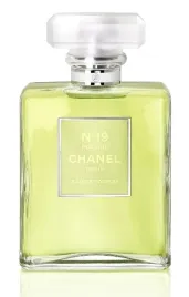 chanel-no19-poudre-edp-50-ml-produkt